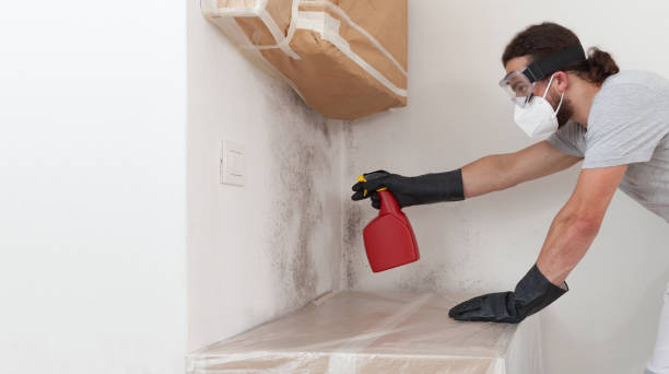 Professional Mold Testing technician working in Sterling, VA